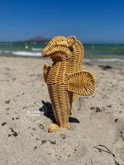 My seahorse rattle